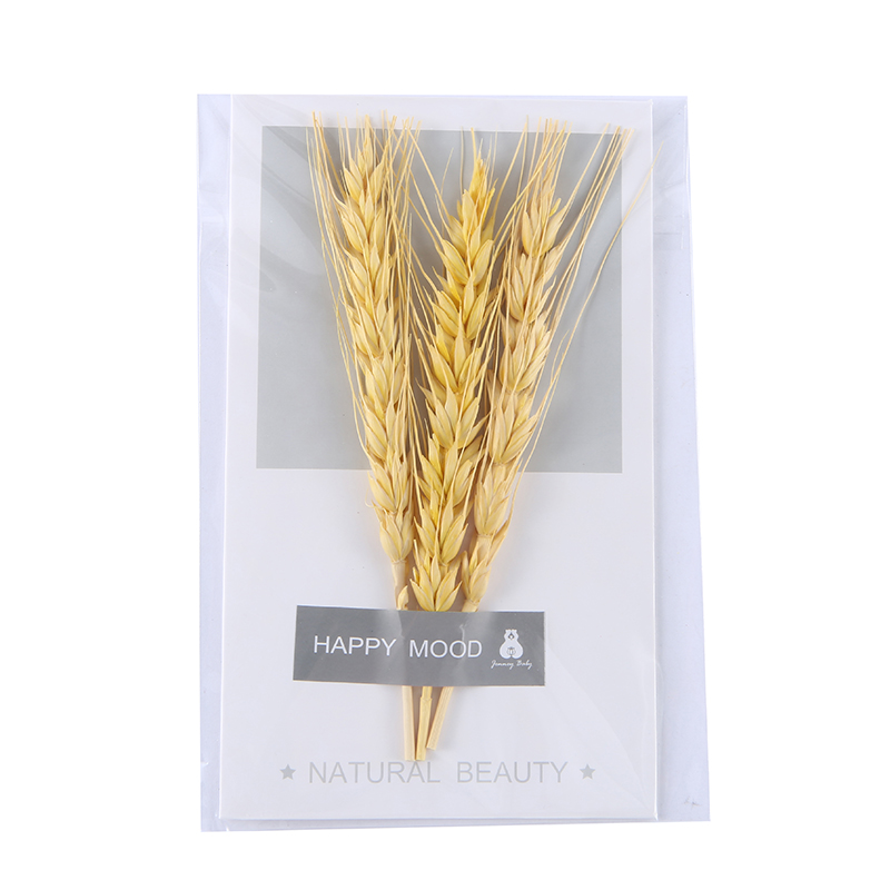 干花贺卡详情图7