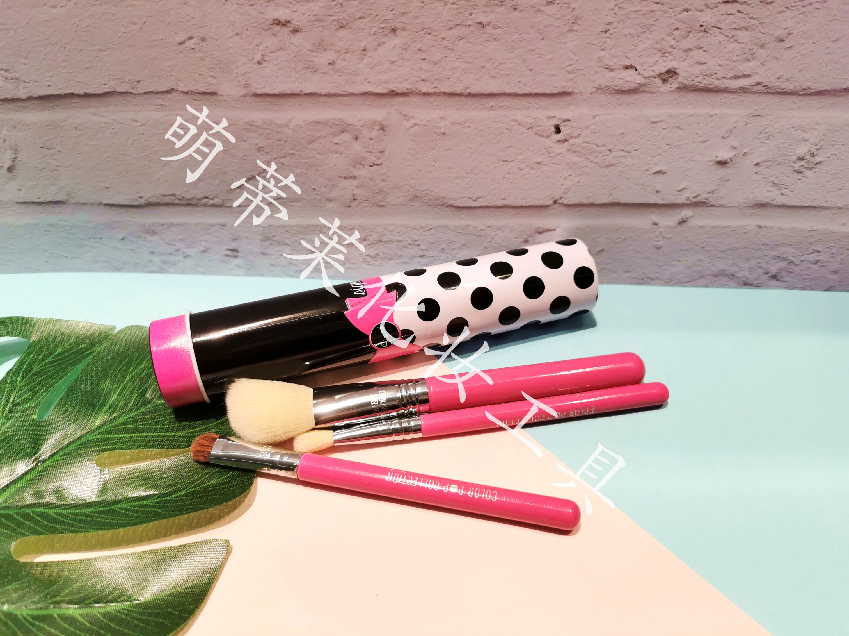 Sg Girl Series color pop 3 pink set brush Makeup brushes