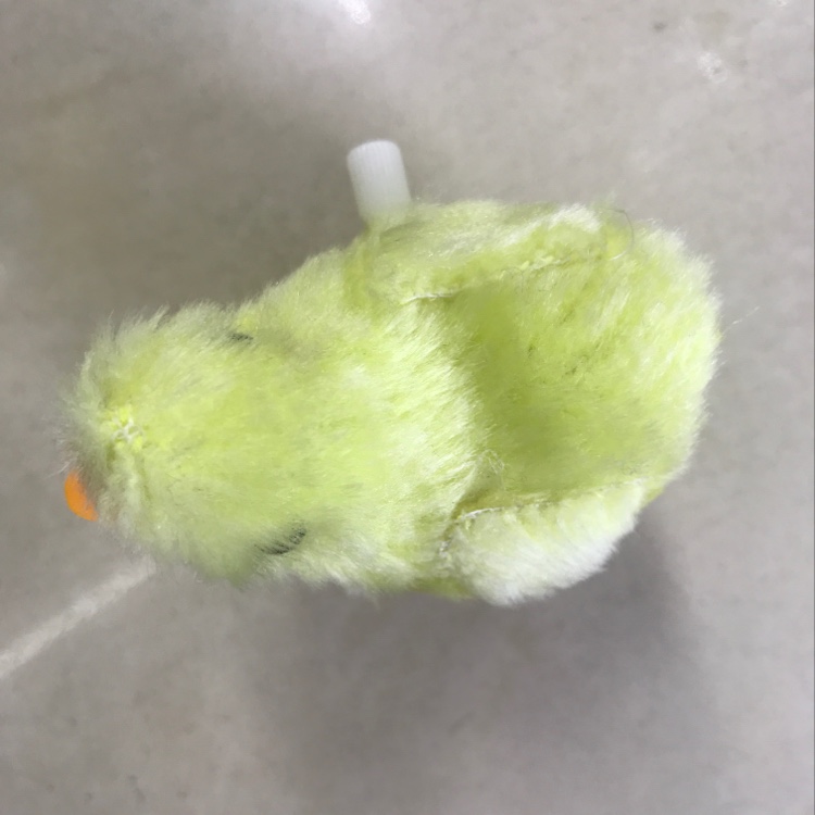 小鸡