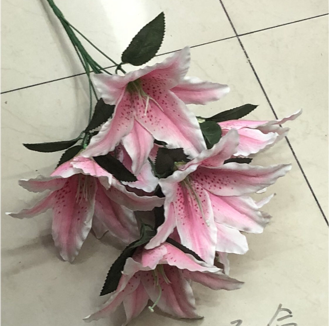 7 lilies 1 thumbnail