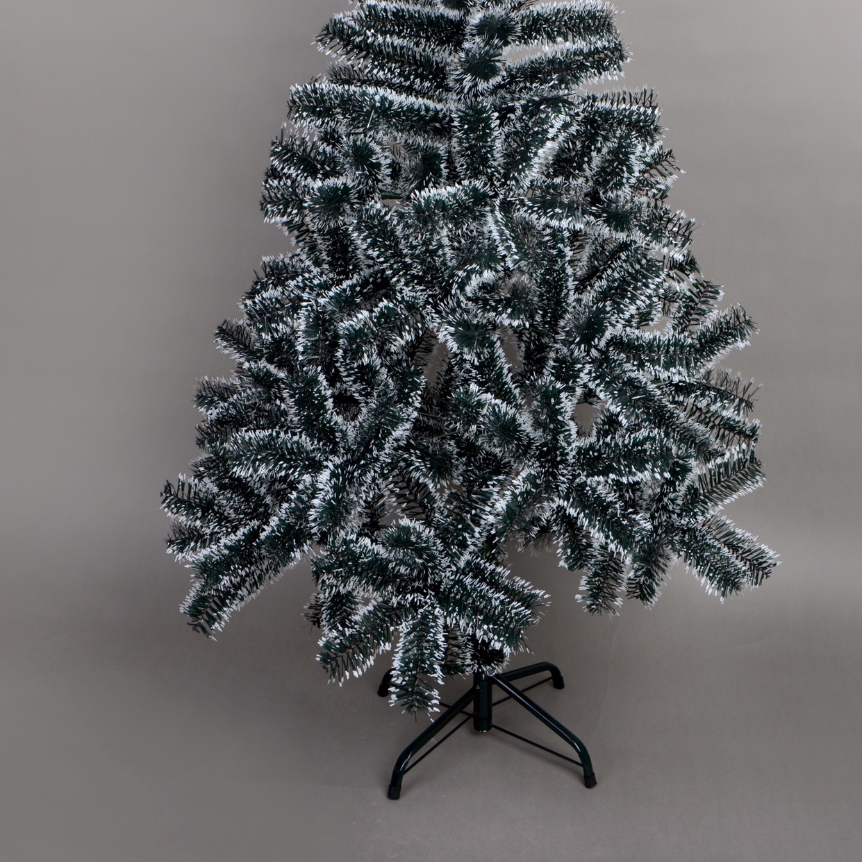 2 M 1 Ordinary Snowflake 11