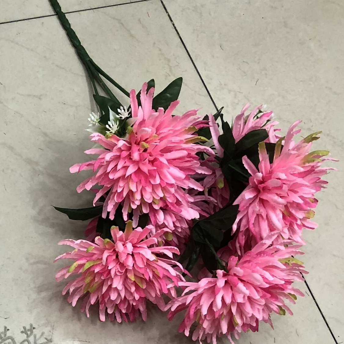 Seven chrysanthemums. thumbnail