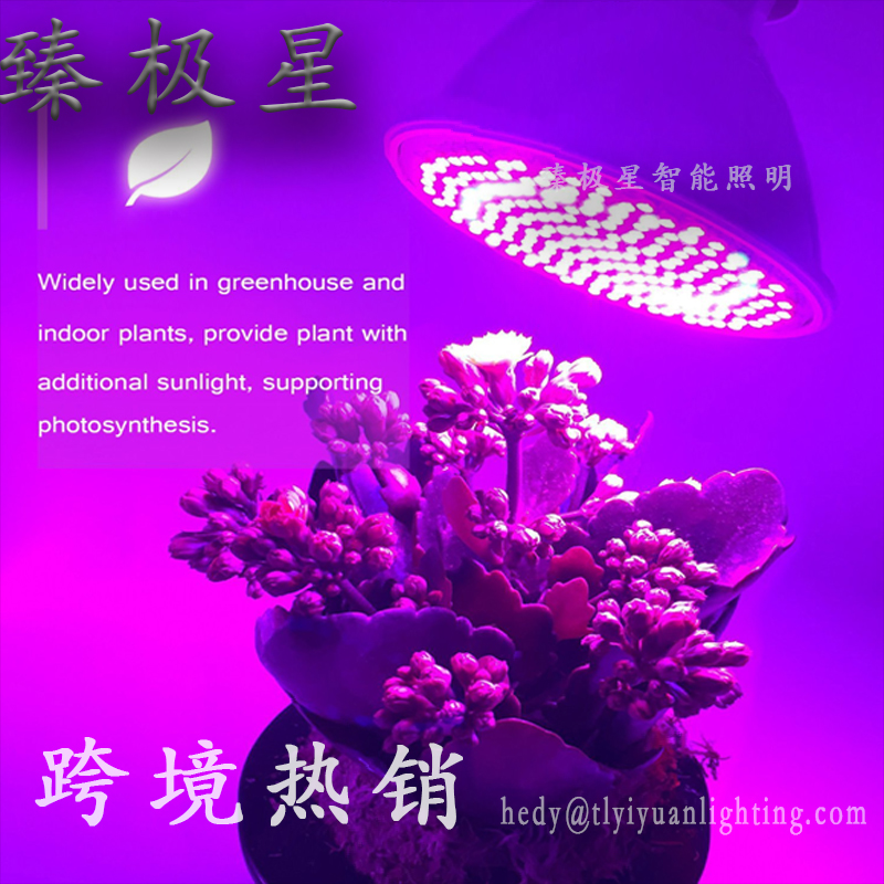 led植物生长灯e27室内蔬菜花卉盆栽种植补光灯详情图1
