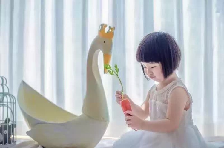 义乌好货 儿童摄影道具 铁艺 白天鹅 新款新生儿百天宝宝拍照道具-1001/9248细节图
