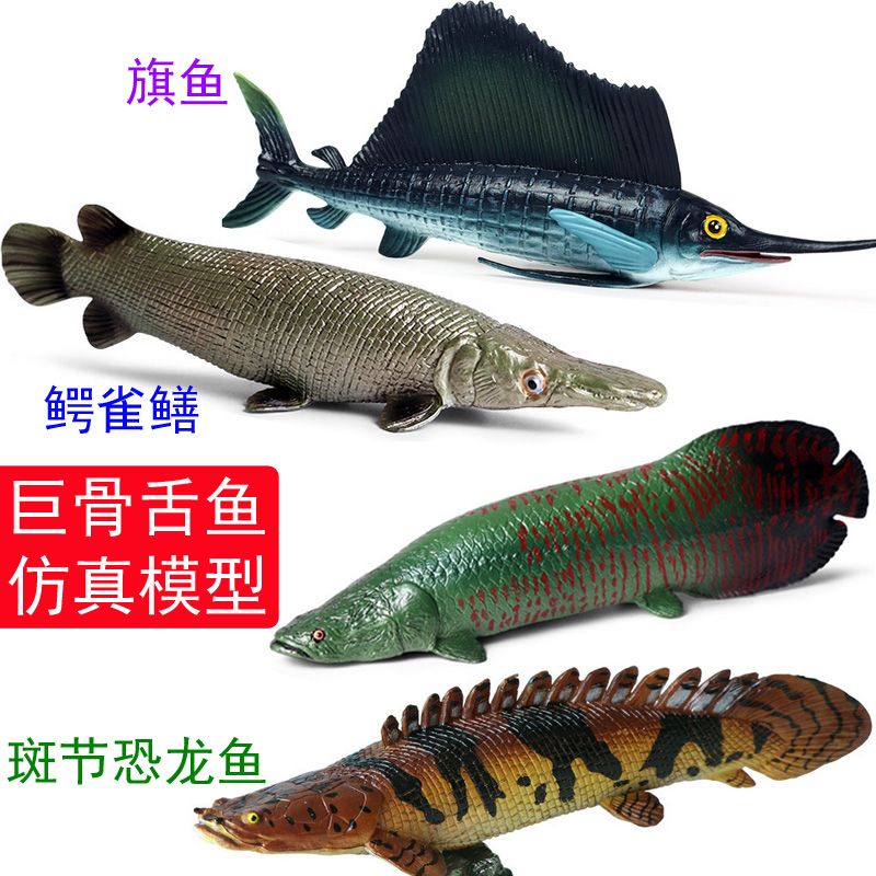 巨骨舌鱼海象鱼斑节恐龙鱼旗鱼飞鱼斑马鲨蓝鲨海洋动物模型玩具