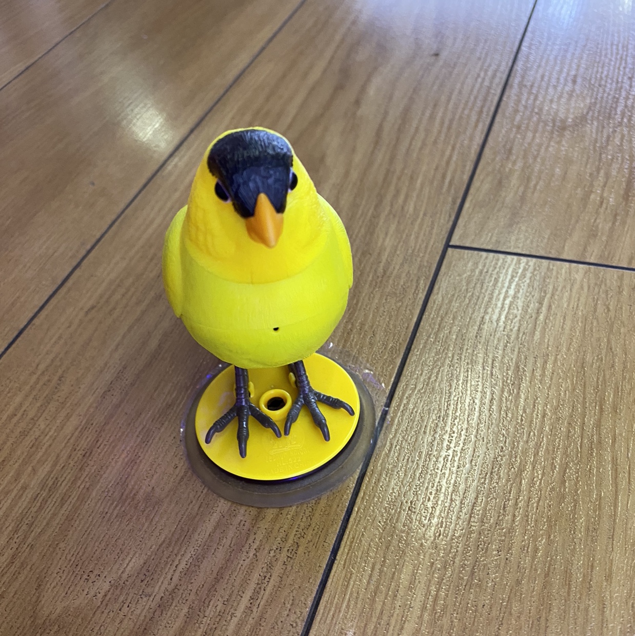 Car bird car accessories decoration manufacturers direct sales is not easy to fall firmly thumbnail