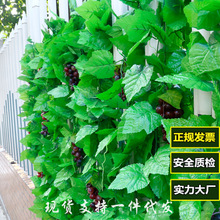 其他食用油实物图