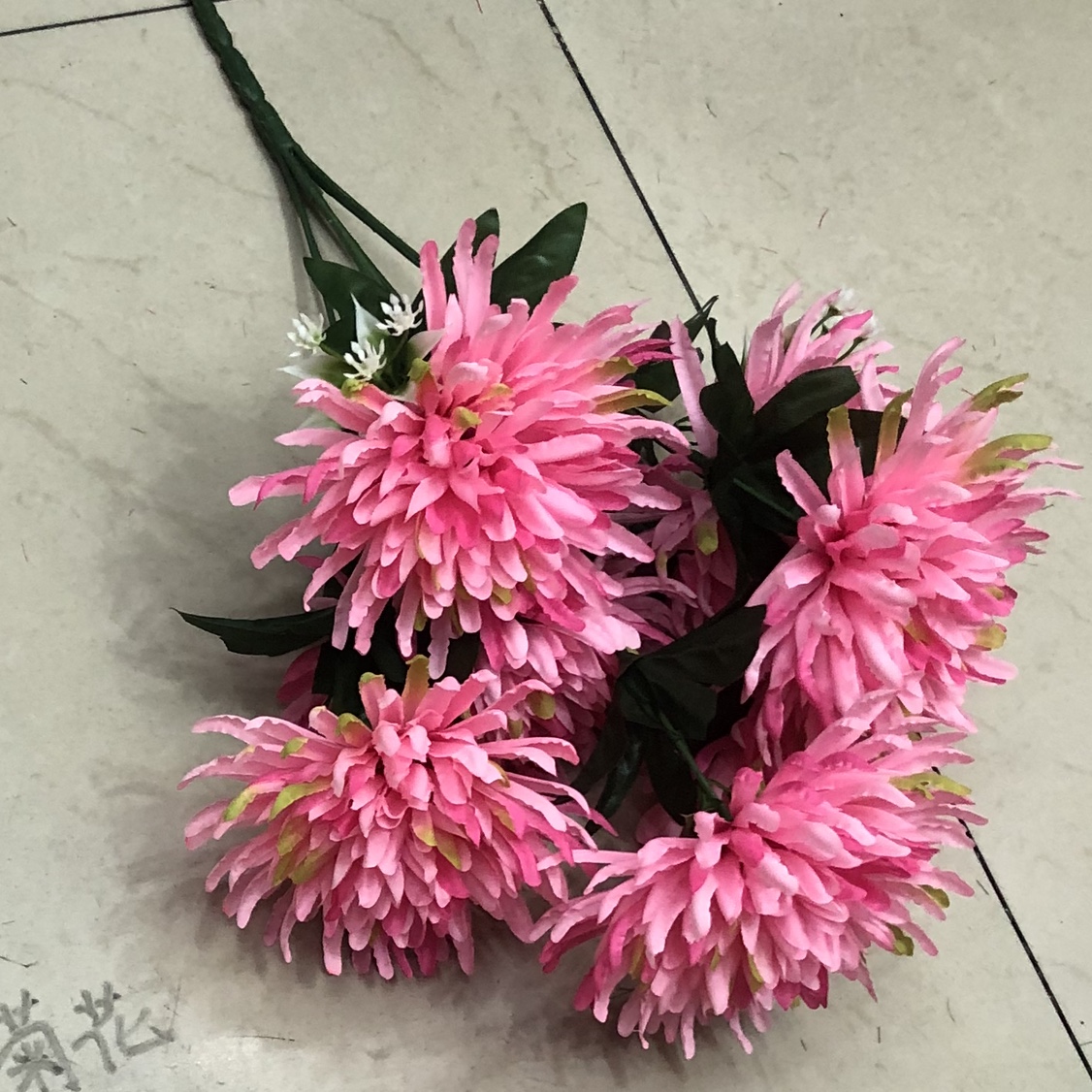 7 chrysanthemum 5 thumbnail