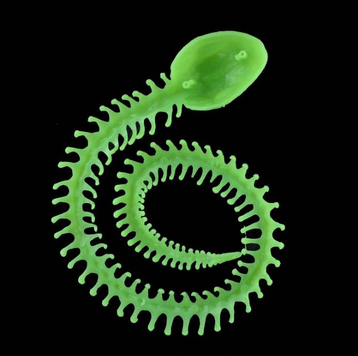 Funny and realistic luminous snake skeleton Halloween parody decoration, bar parody ornament details Picture