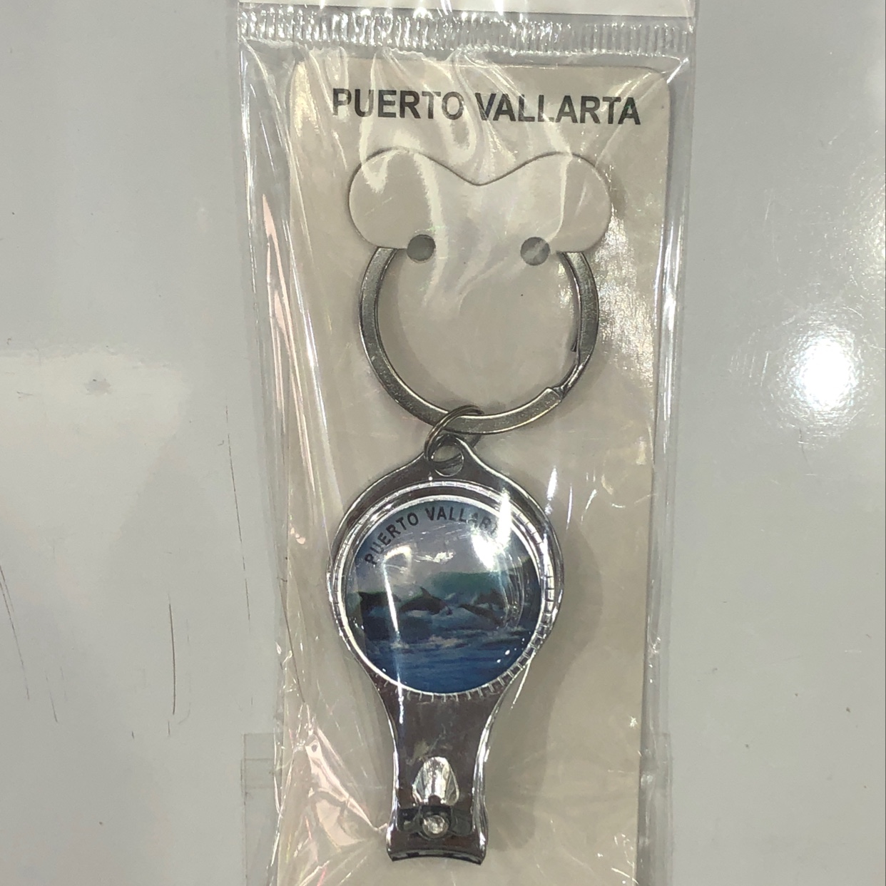 Cd-patterned ocean picture nail clipper keychain