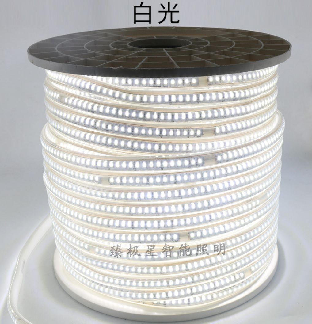 高压灯带/220V/工程白底实物图