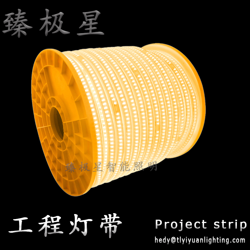 220V灯带工程灯带led高压灯带高亮灯带详情图1