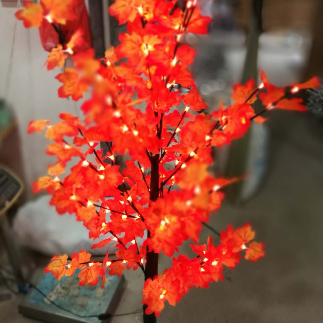 Maple tree thumbnail