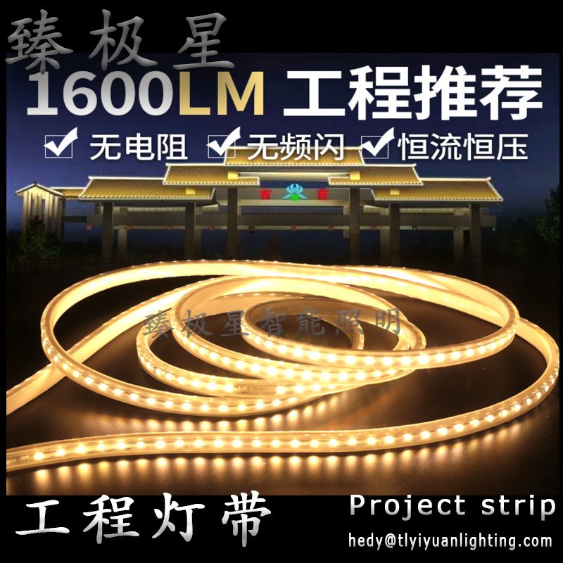 户外灯箱专利设计臻极星高压灯带超亮防水工程220V贴片家装吊顶