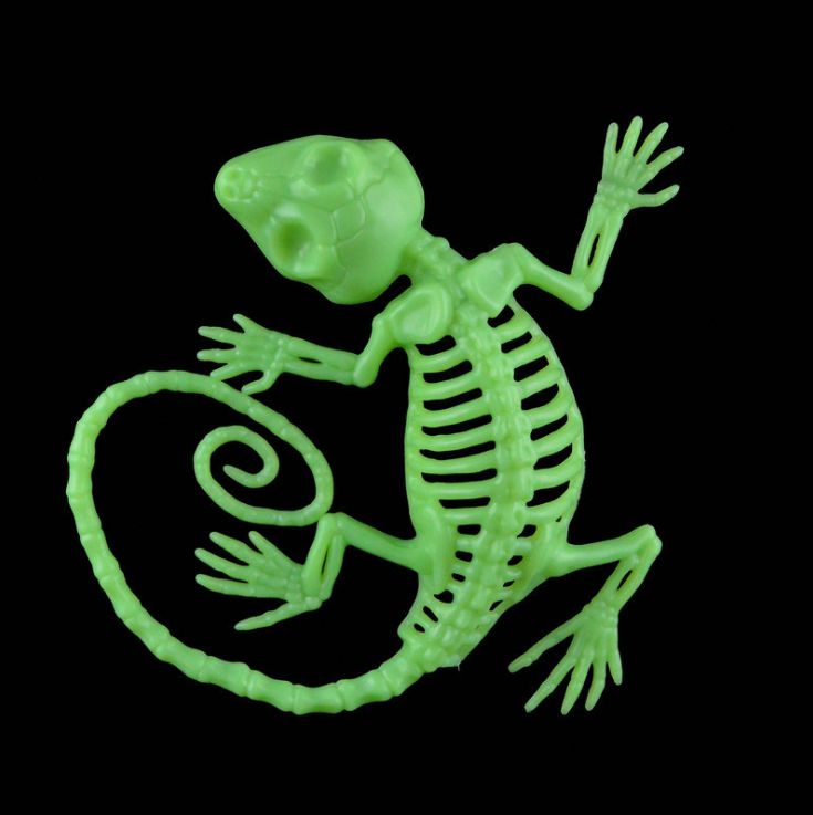 厂家直销  逼真夜光壁虎 骨架 万圣节恶搞装饰品 酒吧恶搞摆
