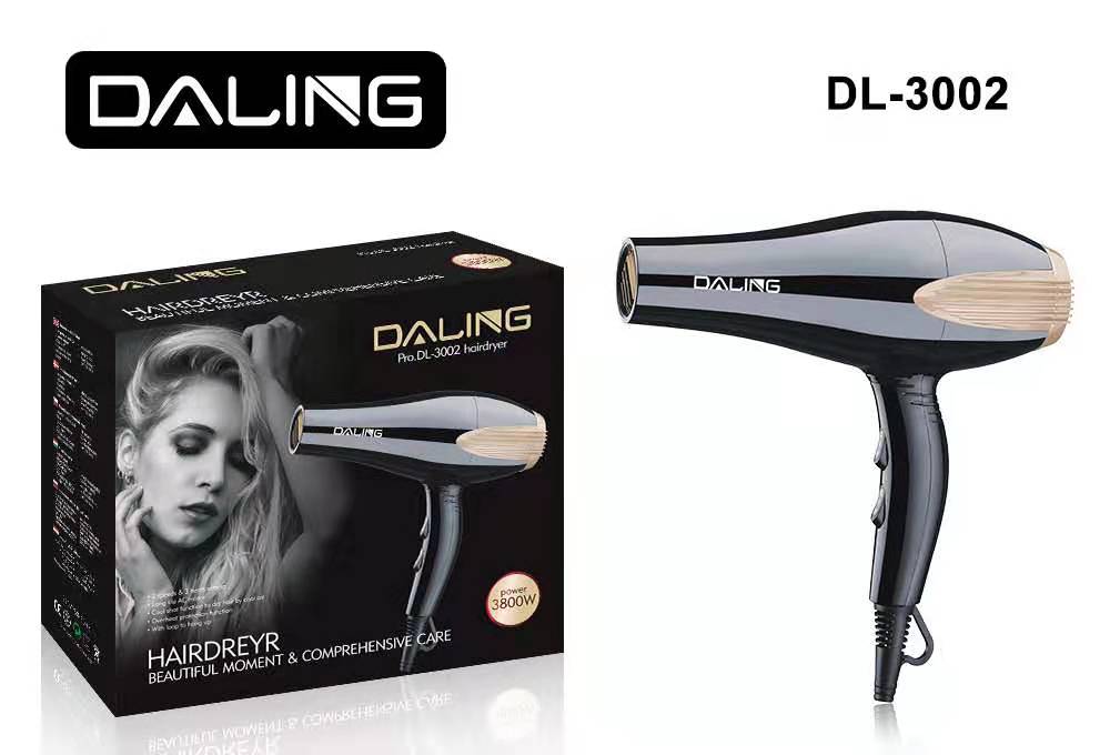 Daring DL-3002 hair dryer High-power hair dryer household hot and cold air hair dryer wholesale cross-border details Picture