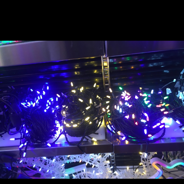 圣诞灯/100L L/节日灯产品图