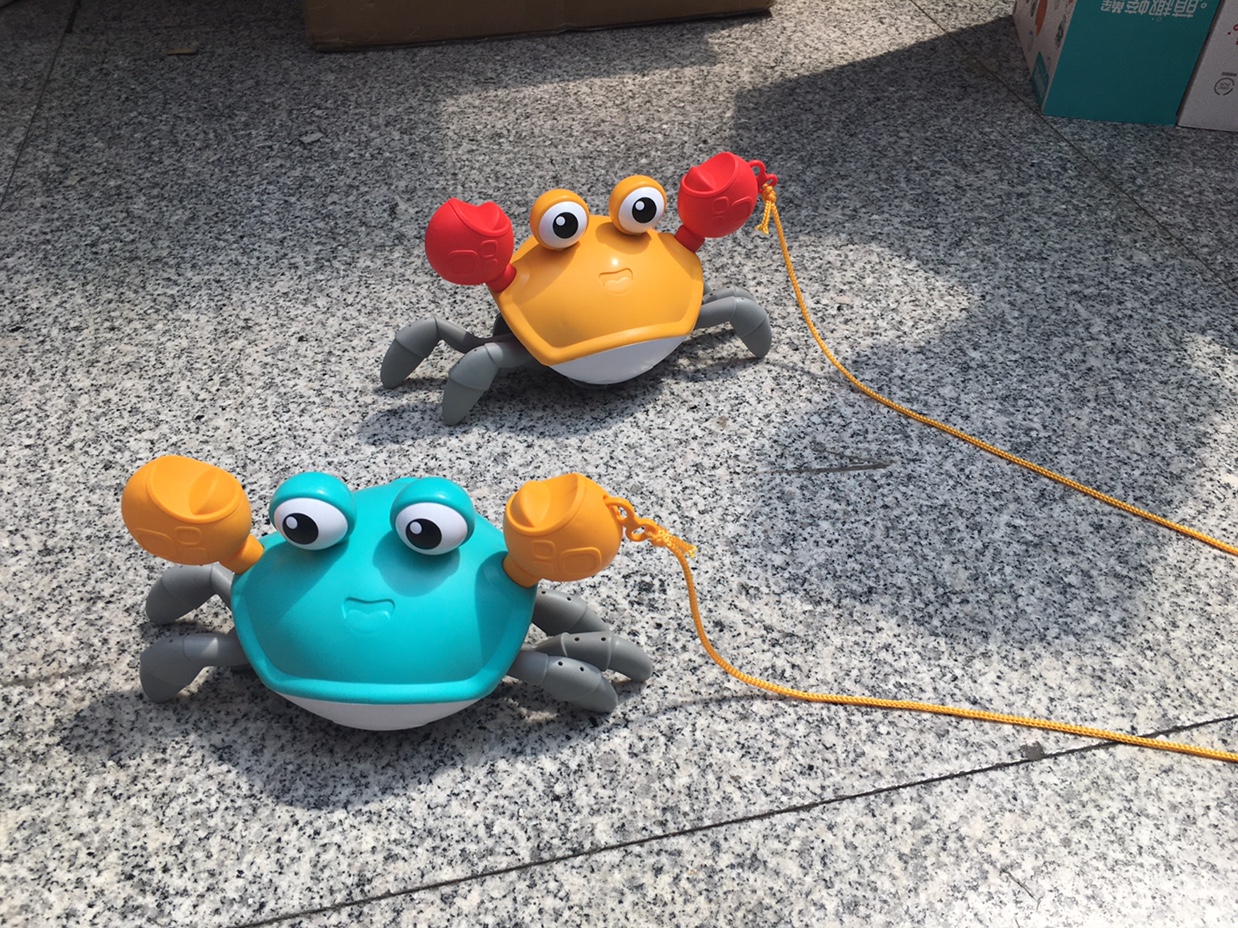 Cute Fun Crab 🦀️, Online Celebrity Amphibious Crab 🦀️