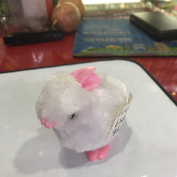 661兔子
