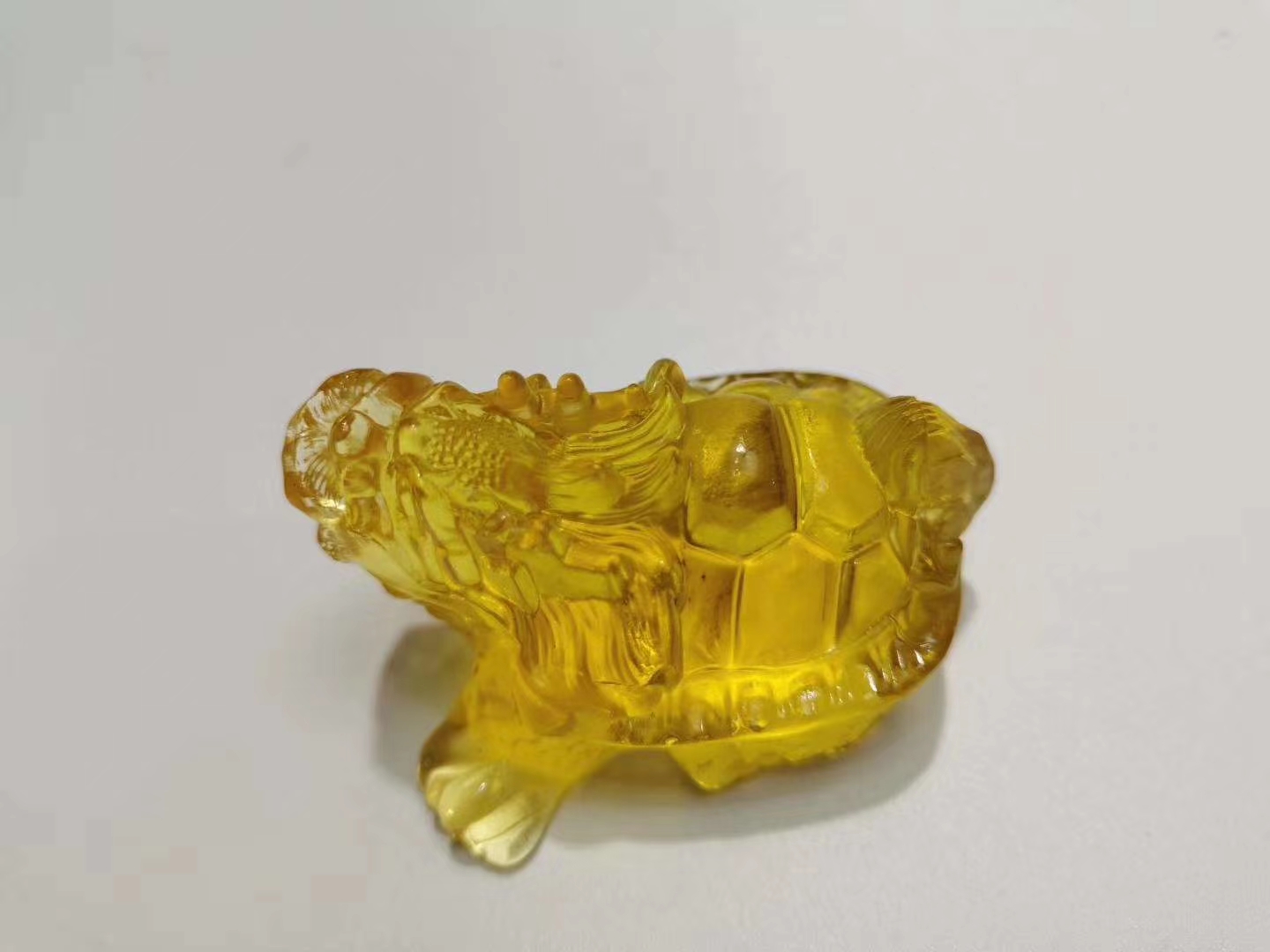 龙龟