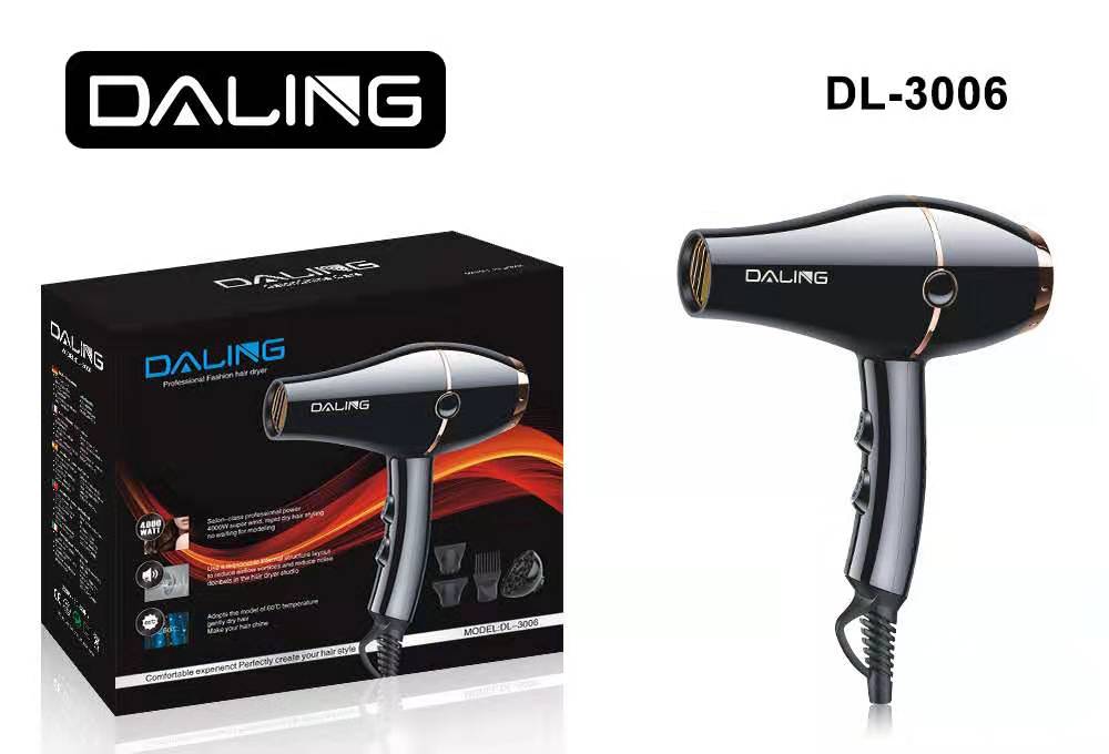 Daring DL-3006 hair dryer High-power hair dryer household hot and cold air hair dryer wholesale cross-border full figure