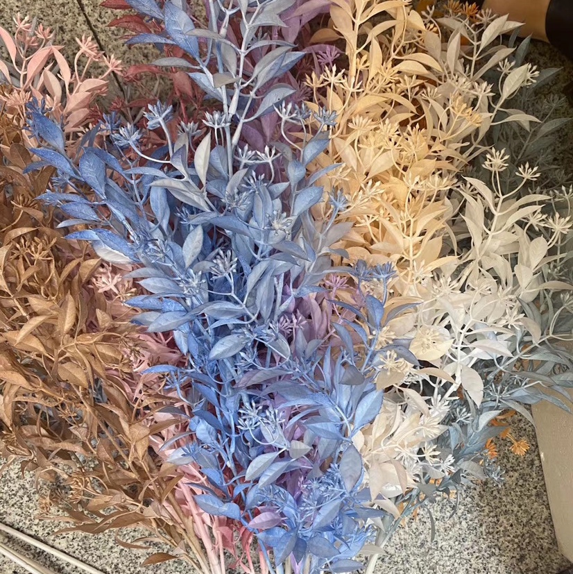 Five-pointed starry sky