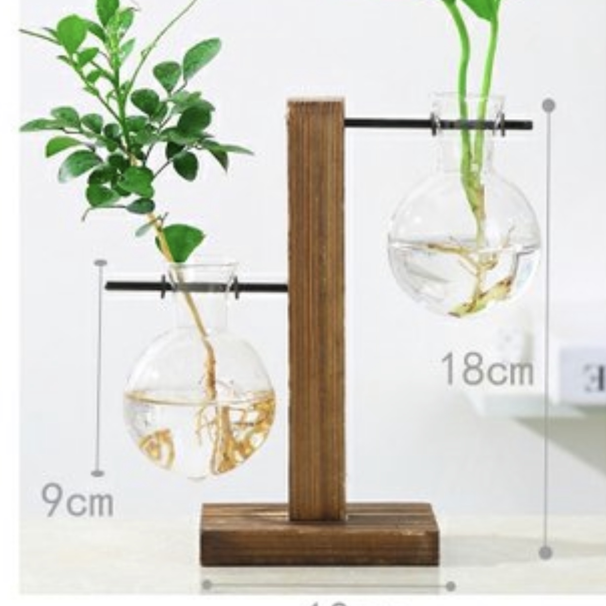 Wood Hydroponics 1