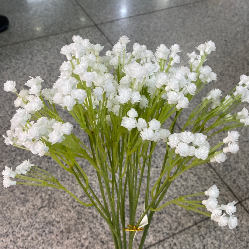 把束满天星国潮