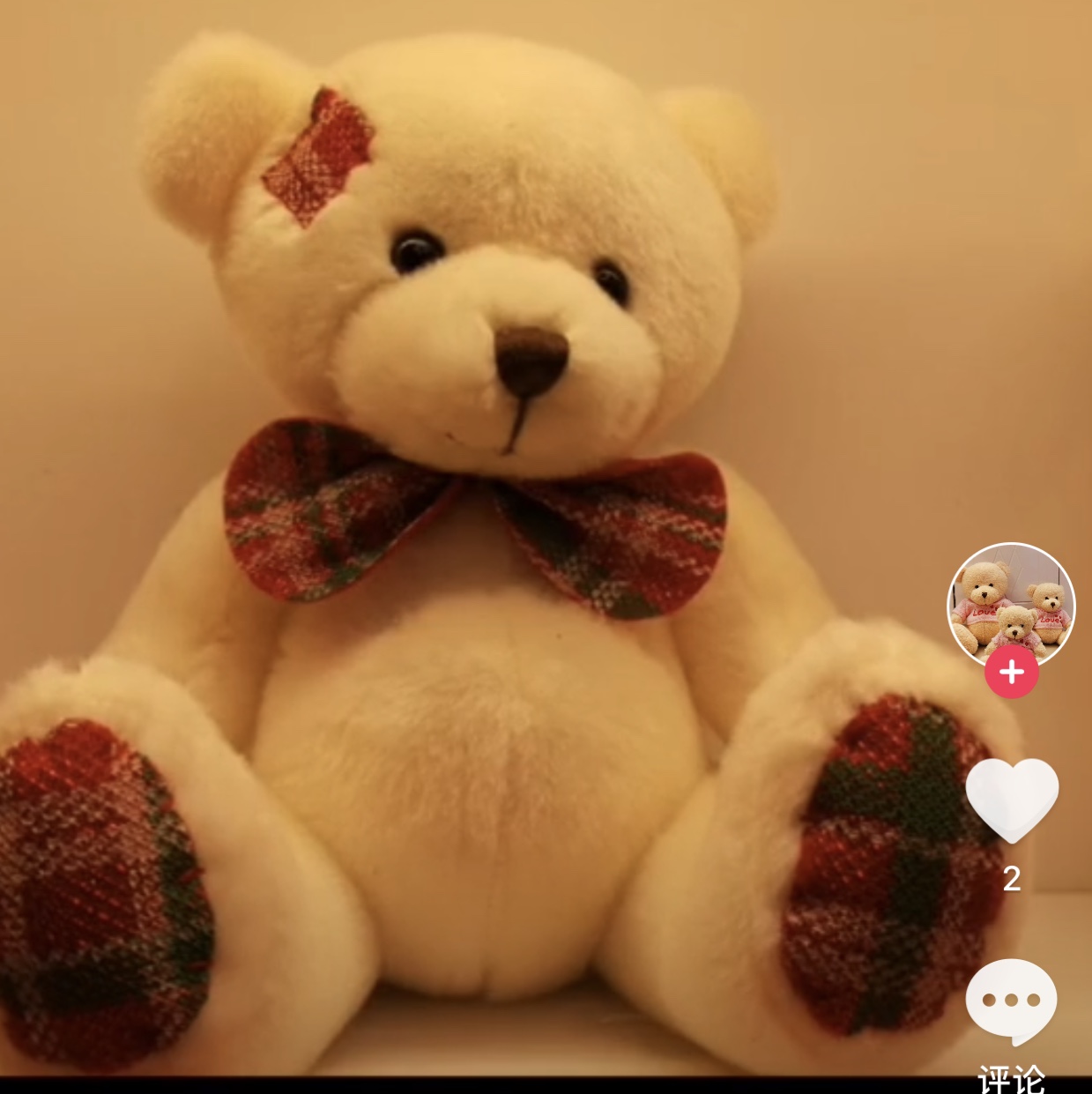 Cute bear is 12 inches thumbnail