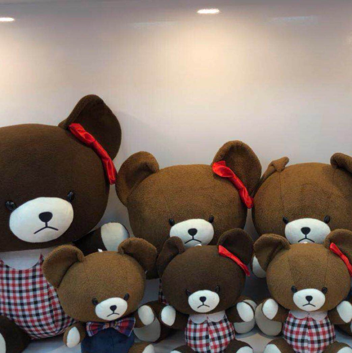 Checkered Bear