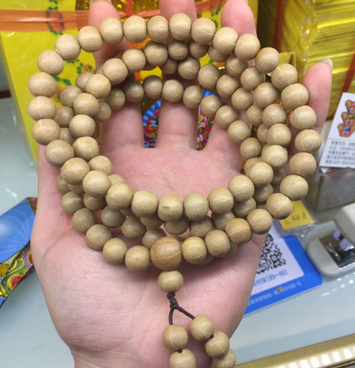 精品五线菩提——又名天台菩提