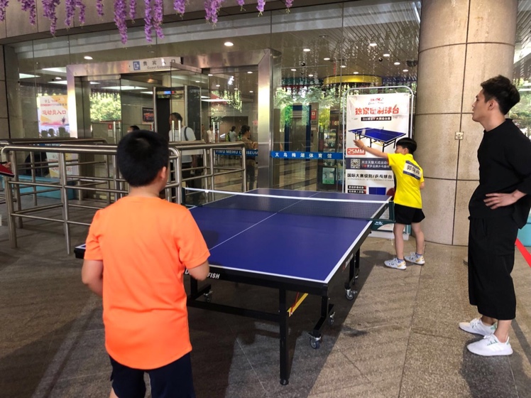 Double Fish Table Tennis Table 321 details Picture