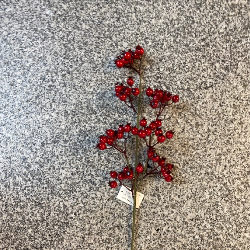 Christmas fruit accessories