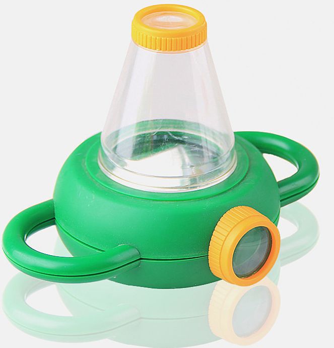 Insect observation box physics teaching model