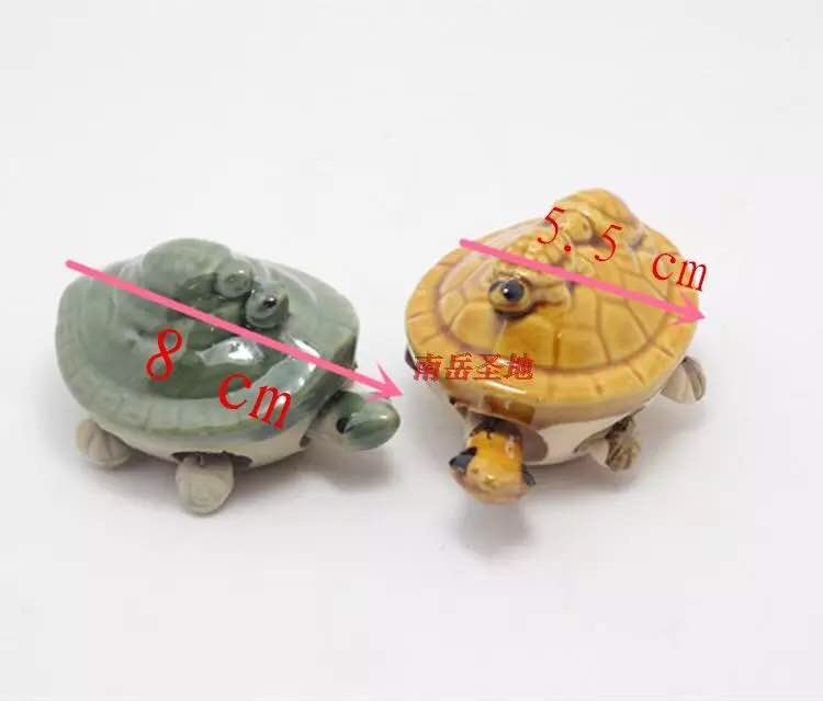 小乌龟图