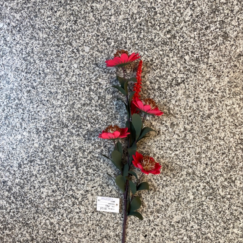 Rose with a flower center
