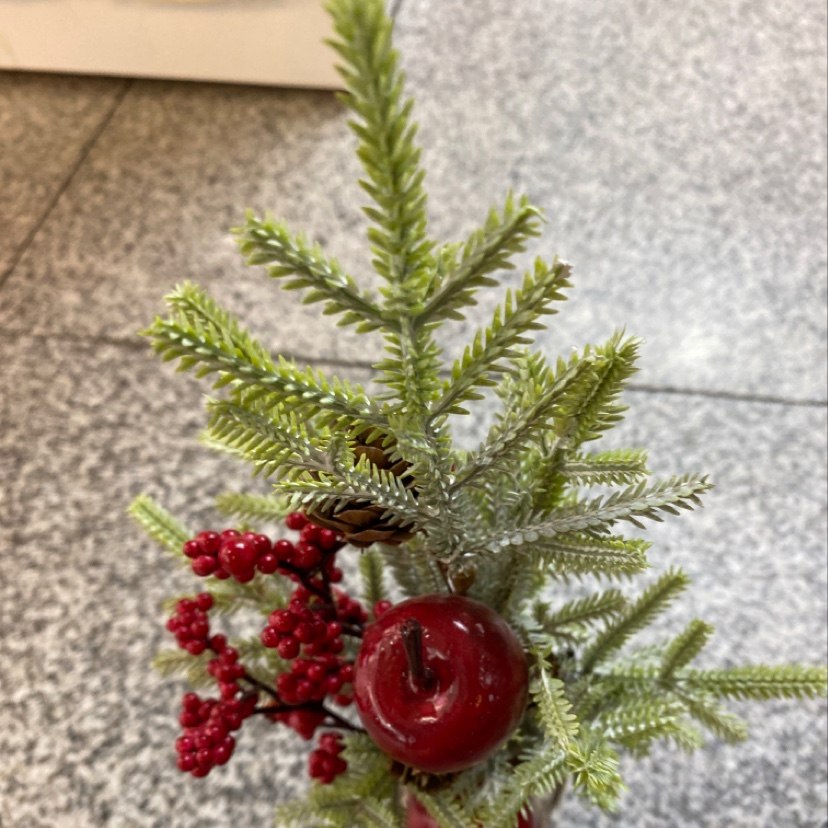 Christmas branches