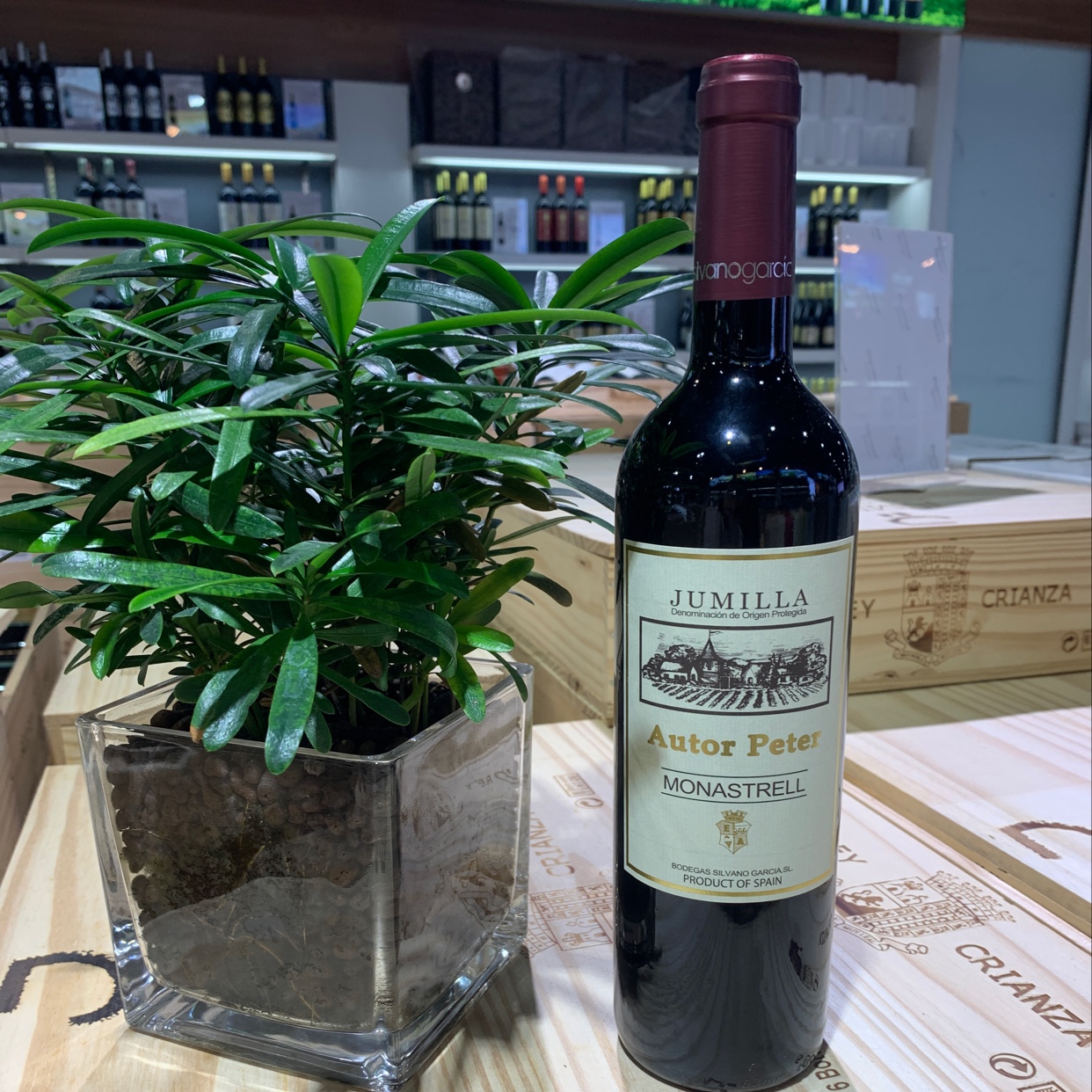 作者．皮特莫纳斯特雷尔