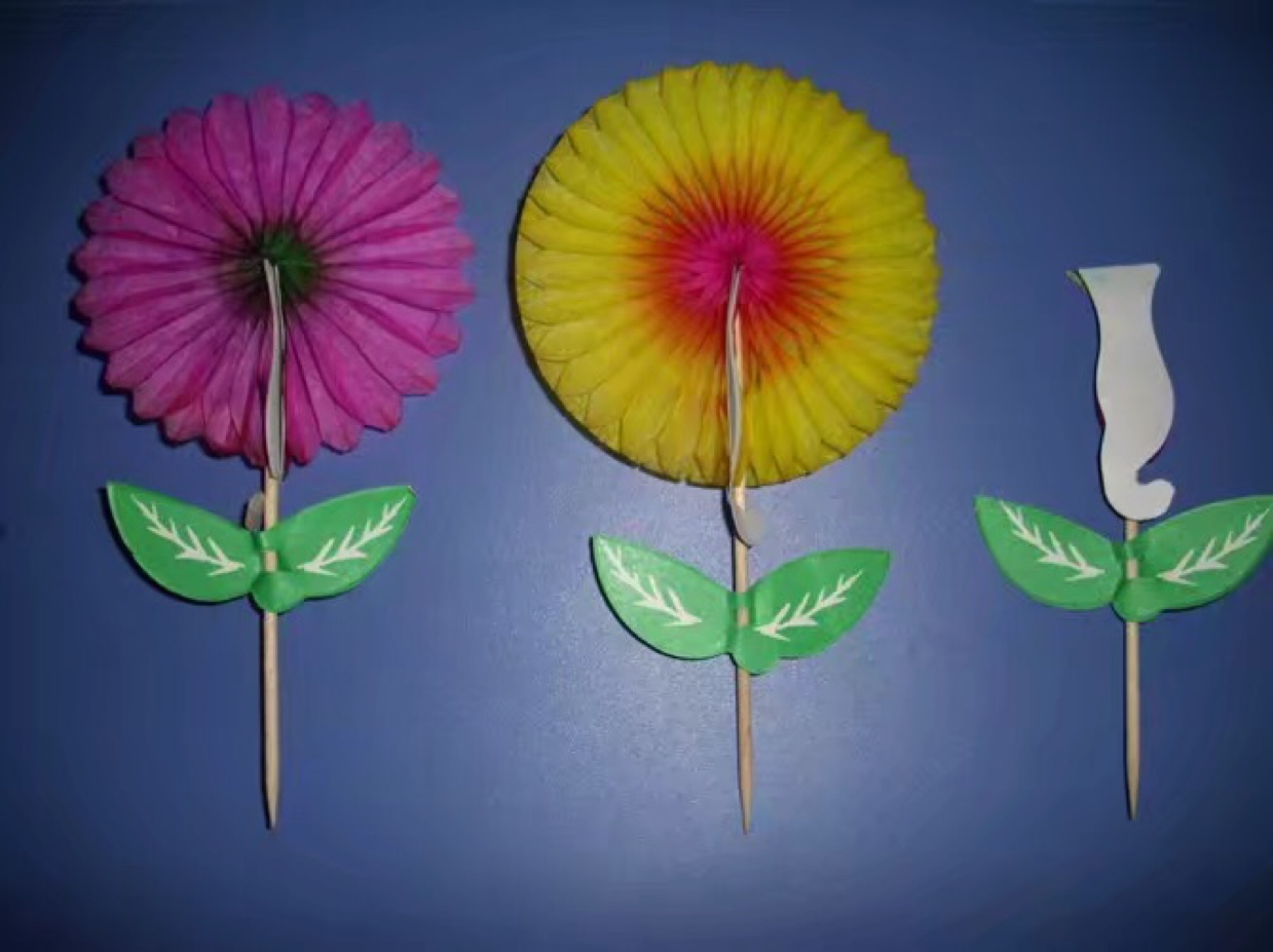 塑料/水果/光从产品图