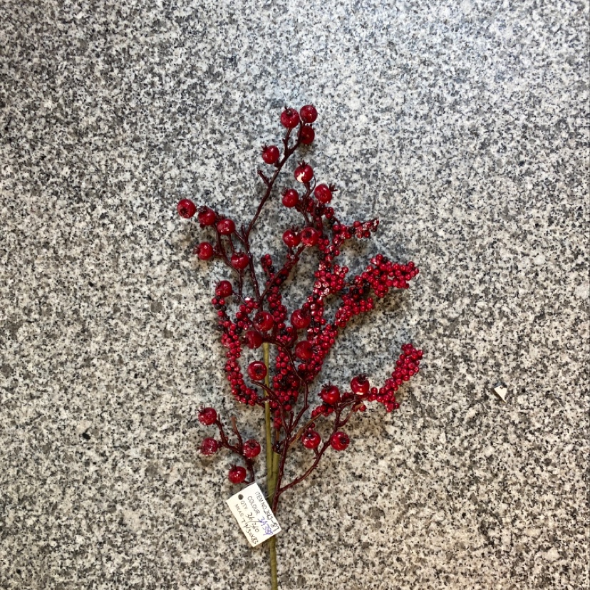 At Christmas, Little Fruit