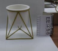 花盆植物带铁架