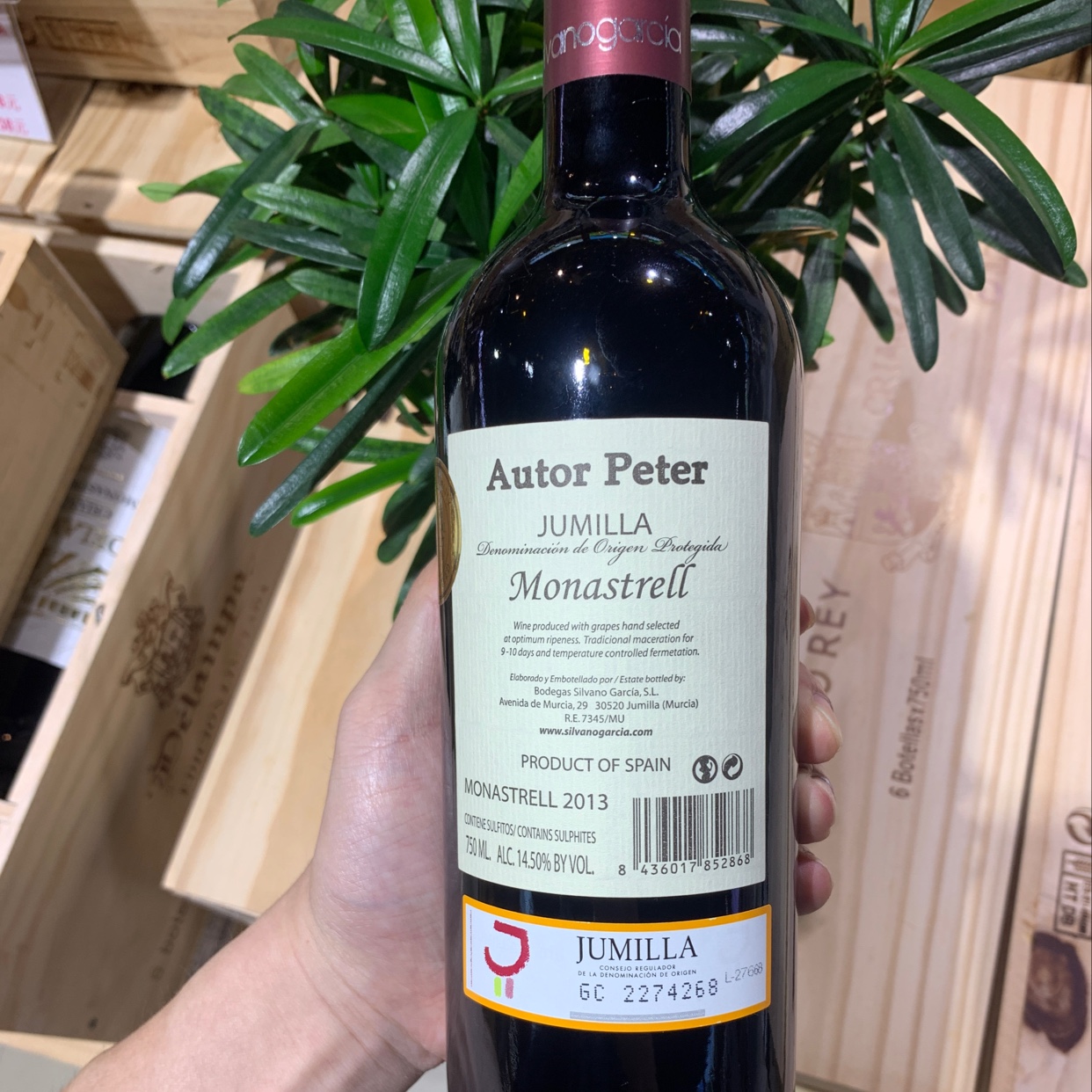 作者．皮特莫纳斯特雷尔细节图