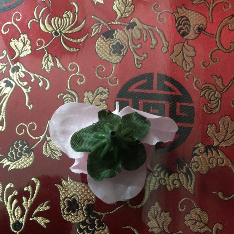 Light pink little flowers details Picture