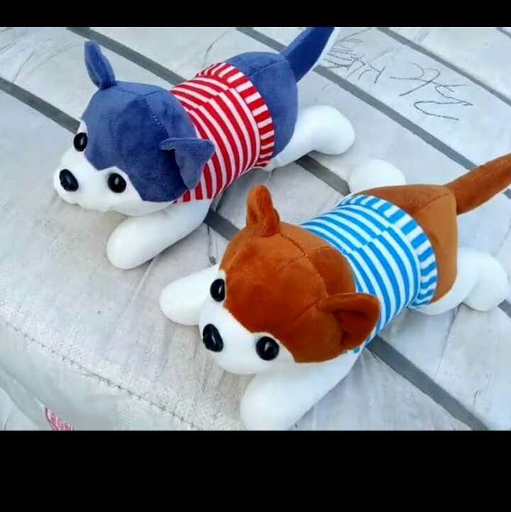 Striped husky thumbnail