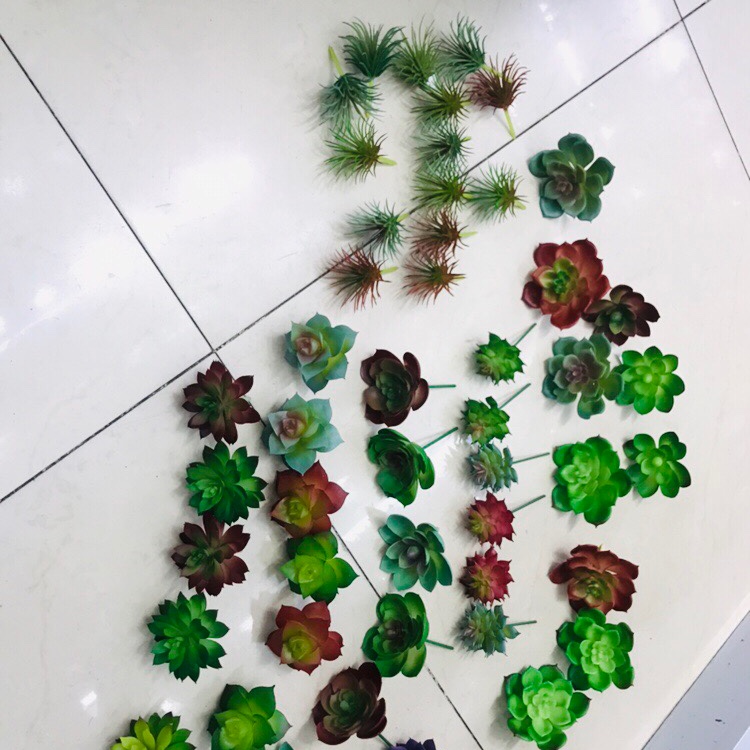 Mini simulación de plantas