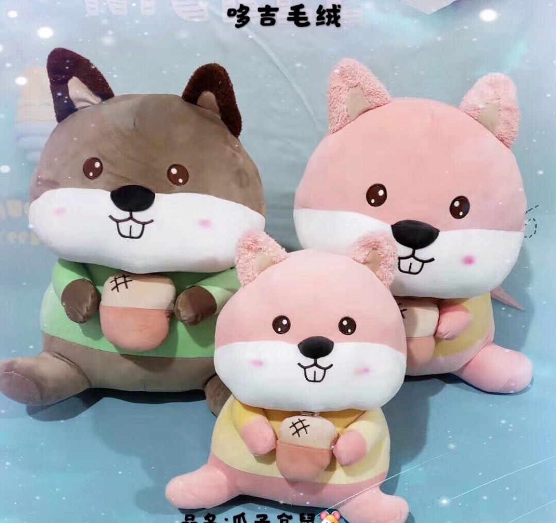 瓜子松鼠