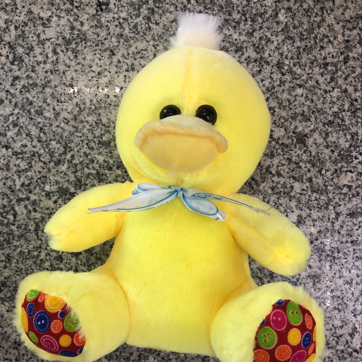 The duckling