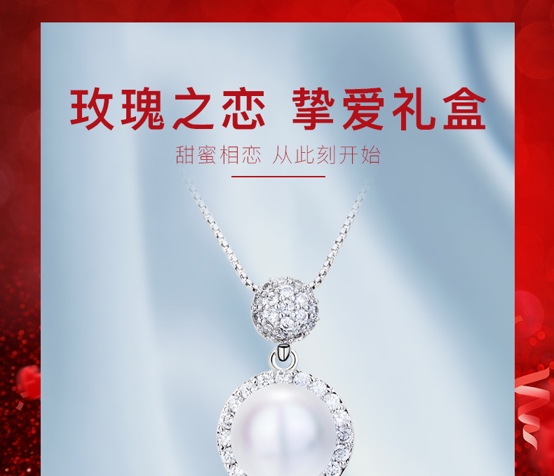 巴宝莉饰品套装 耳钉项链详情图1