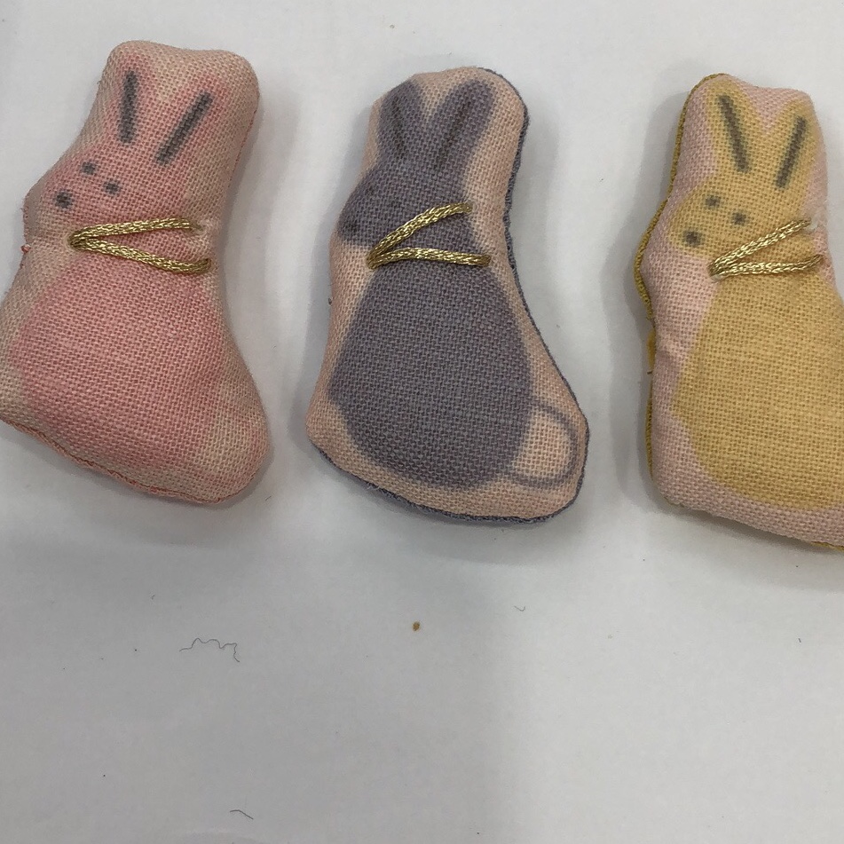 A cute little rabbit