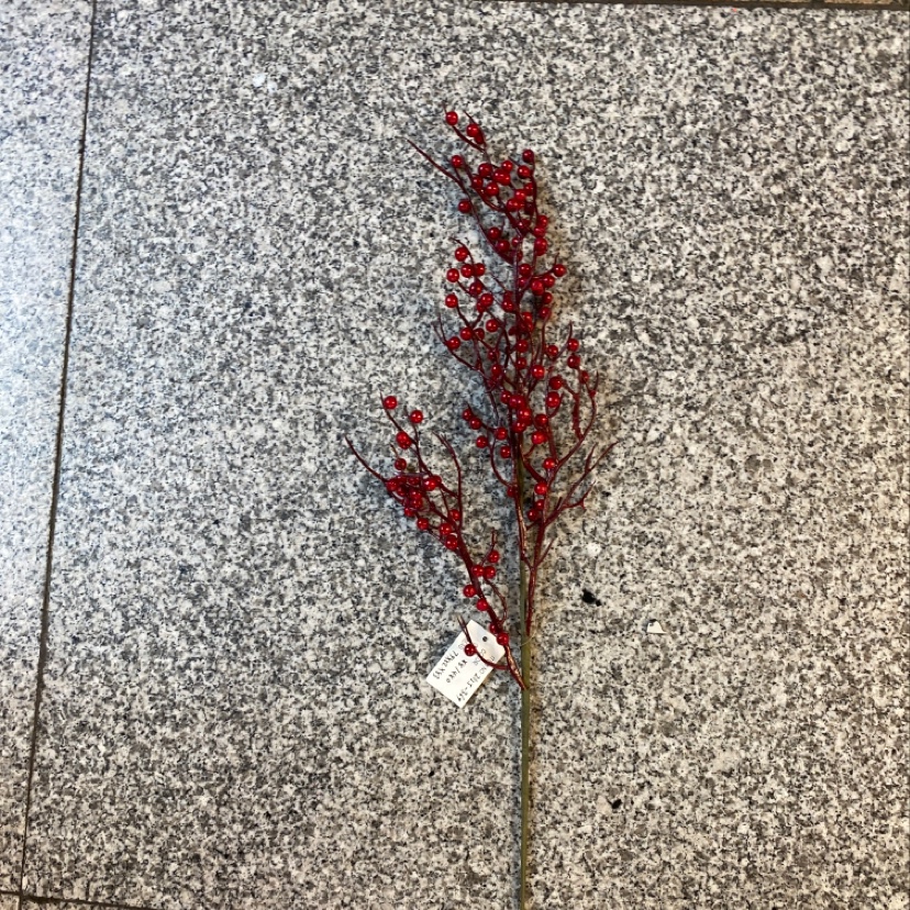 Small red fruit accessories